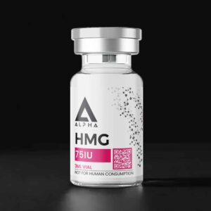 HMG-01m (1)